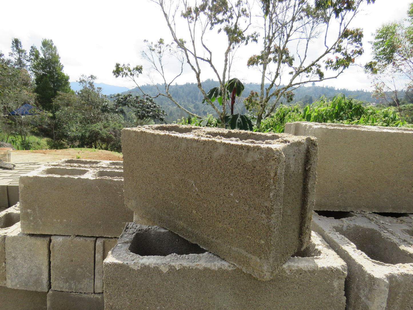 Bloque de Concreto #15 14x19x39