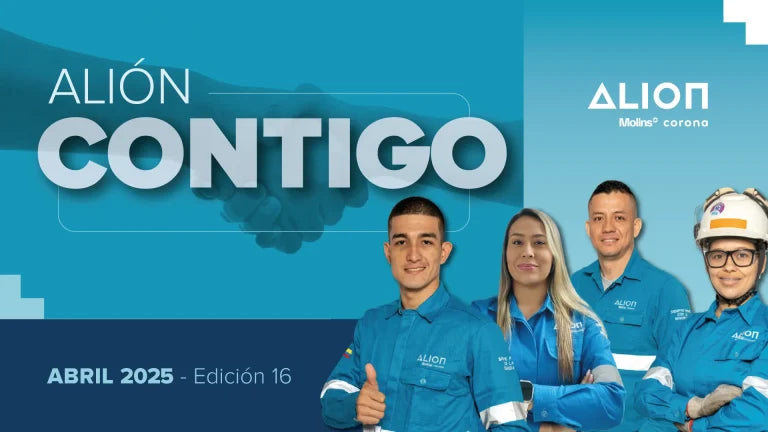 ALION: El Cemento que Respalda Cada Prefabricado de Concrerustikos s.a.s