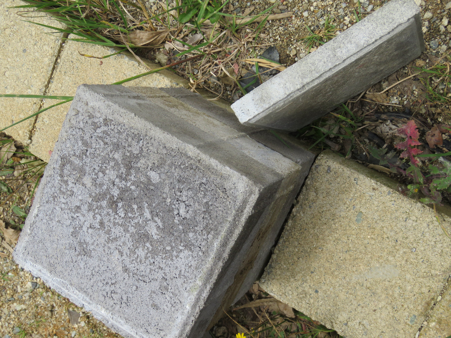 Adoquín Cuadrado de Concreto 20x20x8