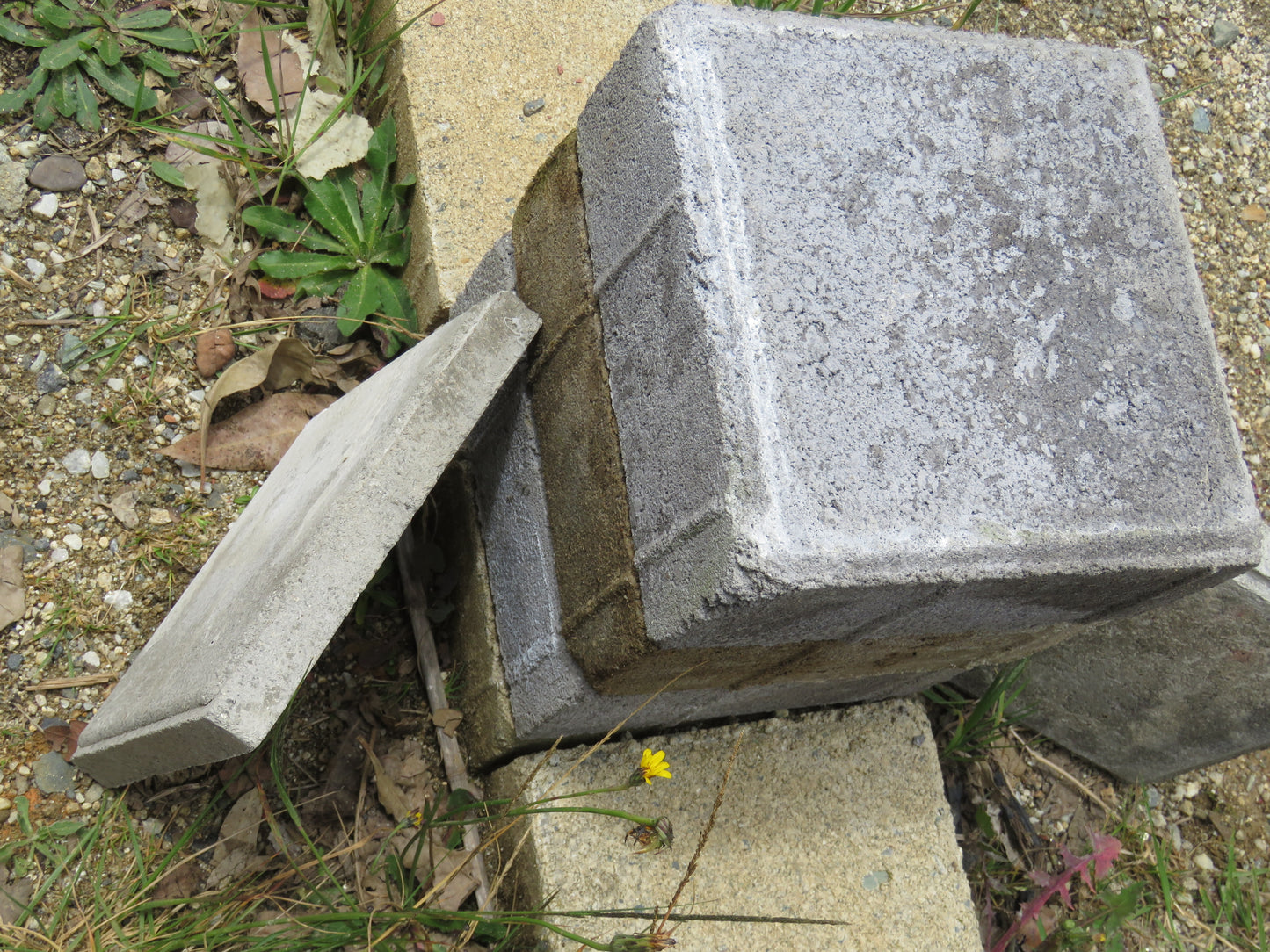 Adoquín Cuadrado de Concreto 20x20x8