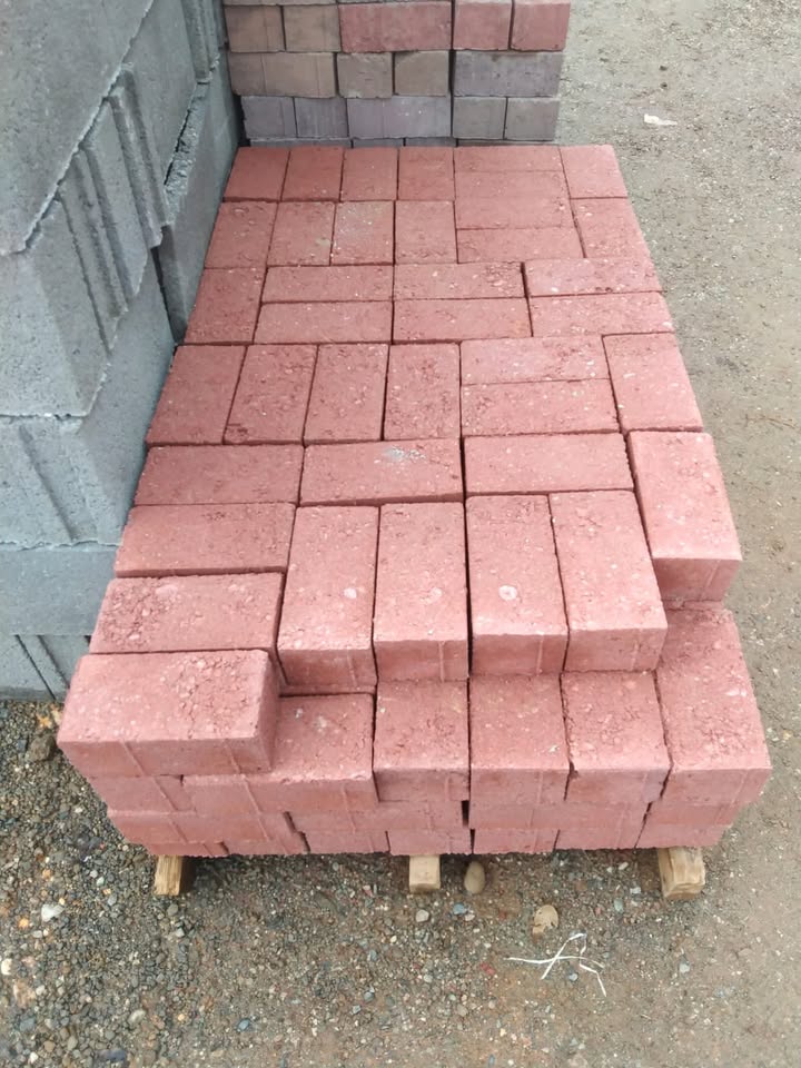 Adoquín Recto de Concreto 10x20x8