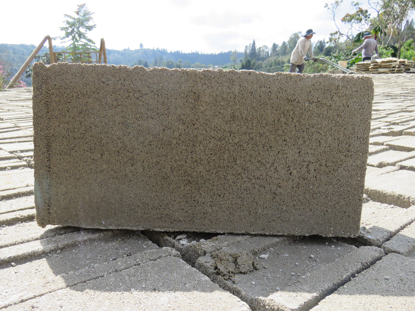 Bloque de Concreto #12 12x19x39