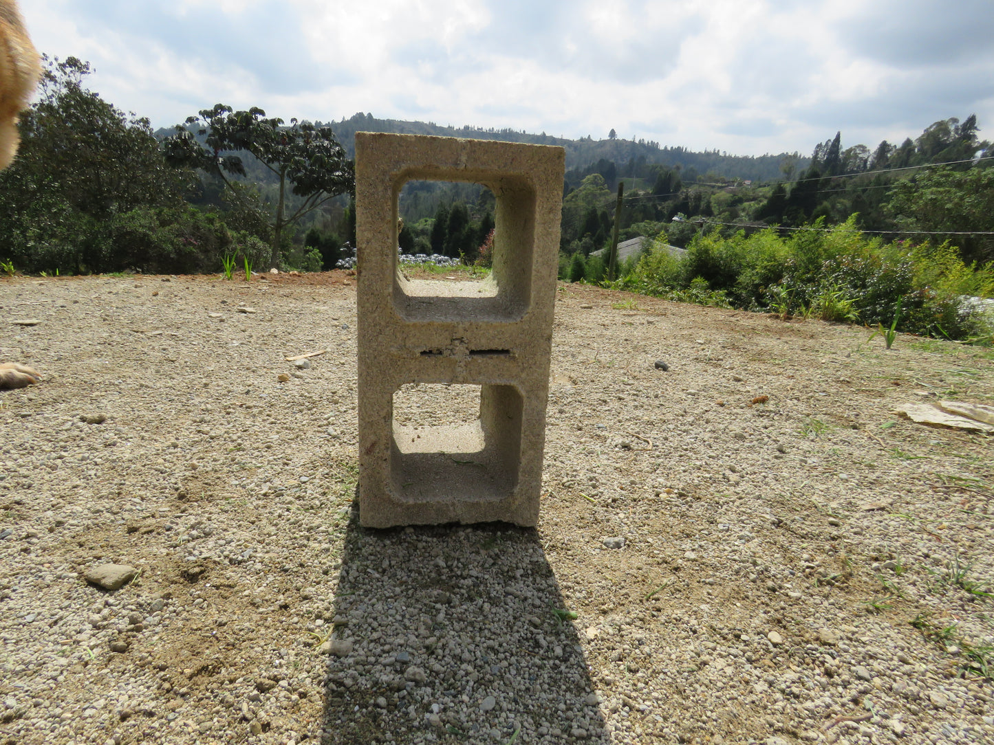 Bloque de Concreto #20 19x19x39