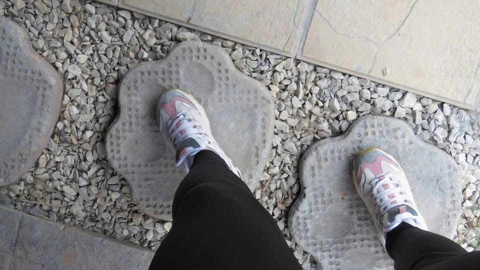 Piezas en Concreto | Tortugas | Huellas | Pasos | Corazones | Figuras Geométricas