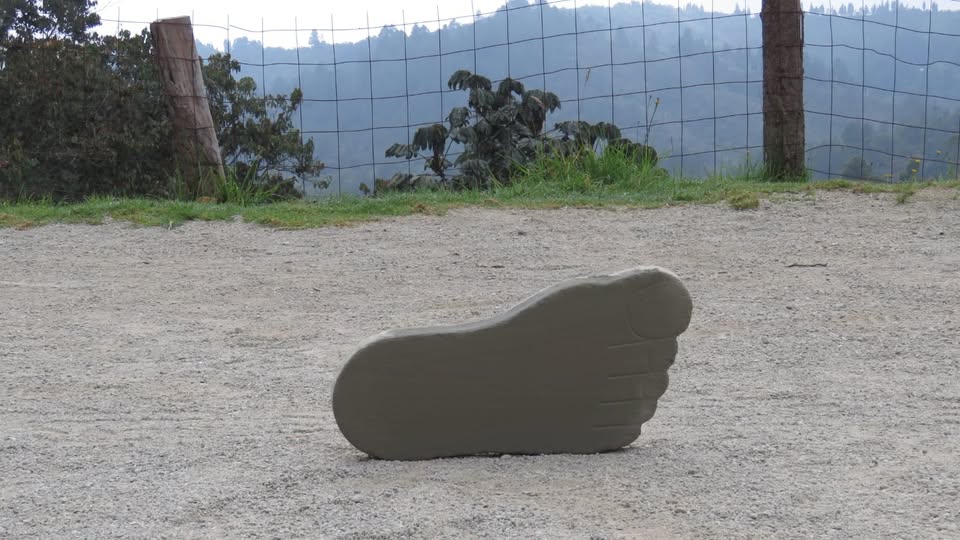 Piezas en Concreto | Tortugas | Huellas | Pasos | Corazones | Figuras Geométricas